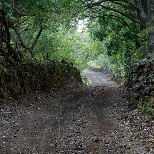 Kaupo Ranch road