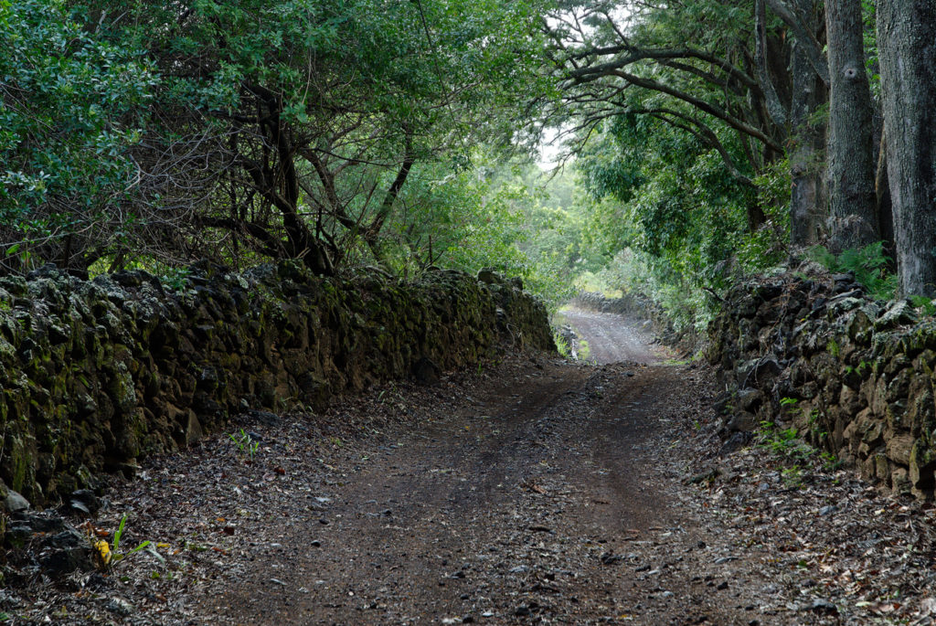 Road from Kaupo Ranch, Naholoku