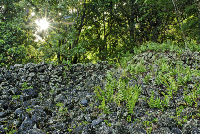 Lonoaea Heiau, Kahualau Gulch