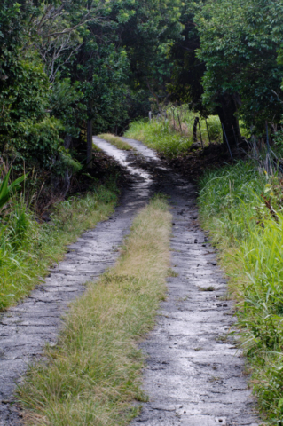 Kaupo Gap Road