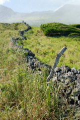 Cattle wall, Makaakini Point