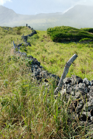 Cattle wall, Makaakini Point