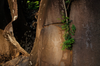 Petroglyphs, Nuu