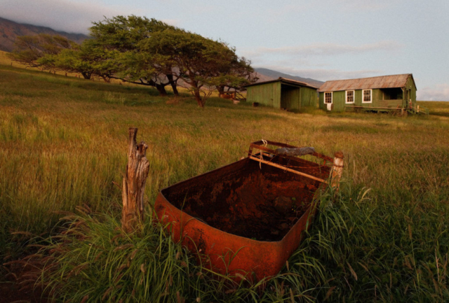 Water trough and cabin, Waiopai