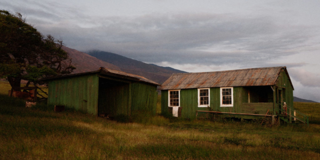 Cabin, Waiopai