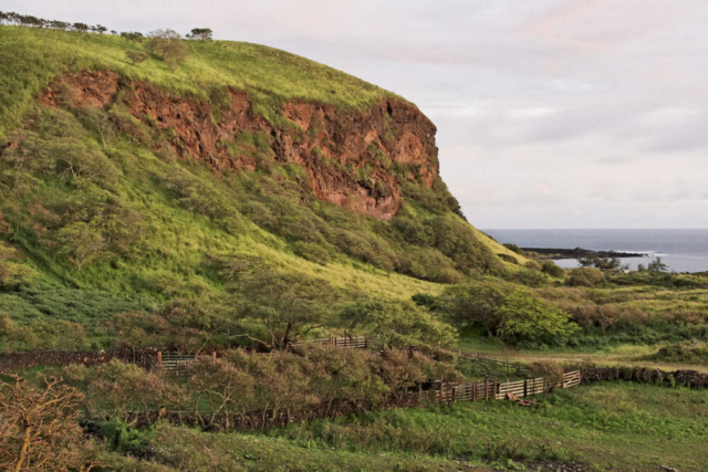 Waiu Corral and Puu Maneoneo