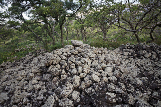 Kailiili Heiau