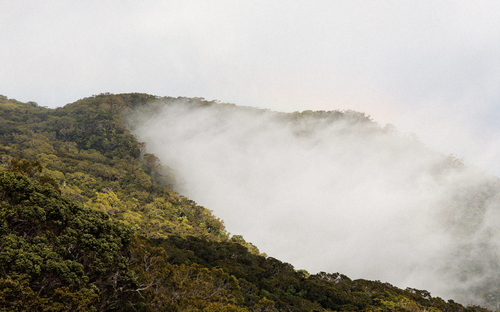 Ahulili hill, Manawainui