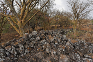 Halekou Heiau, Kailiili, Nuu