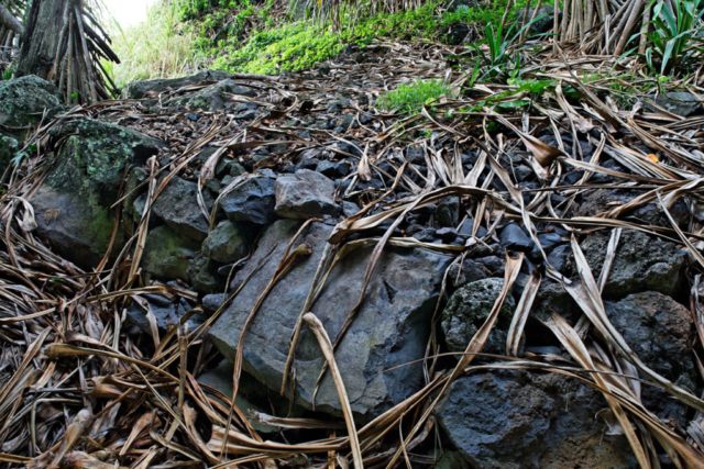 Heiau, Kalepa