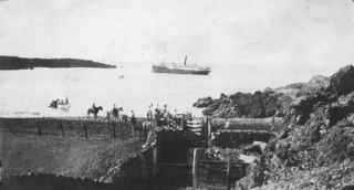 Cattle loading, Nuu Bay