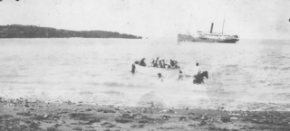 Cattle loading, Nuu Bay