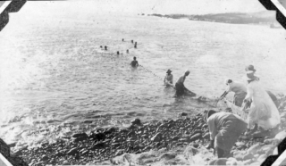 Akule fishing, Nuu Bay