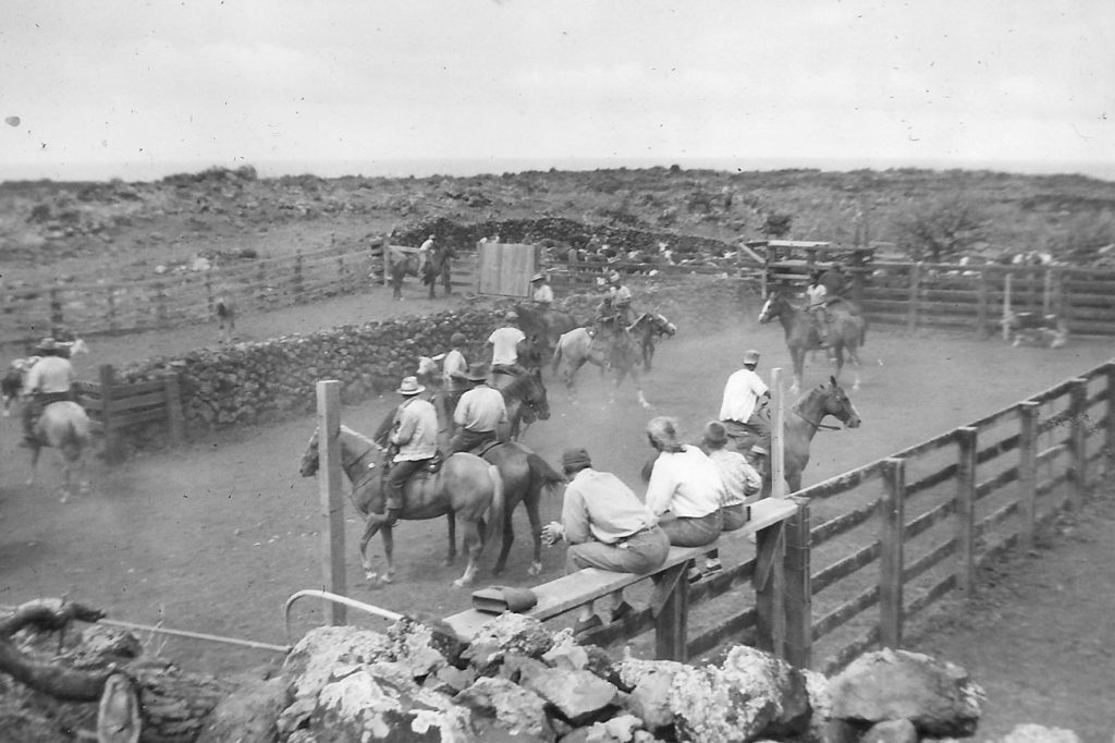 Waiu Corral, 1950s