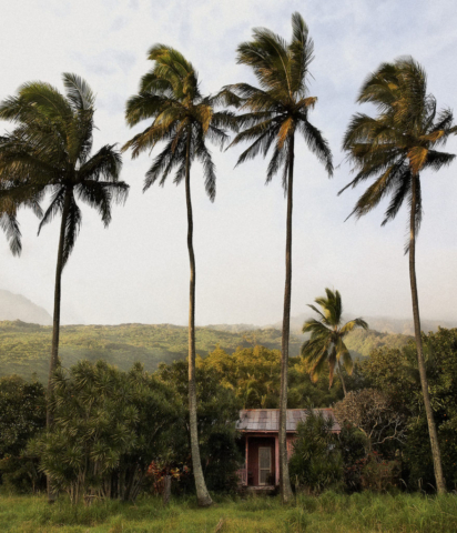 House of Antone and Lily Marciel, Alaakua