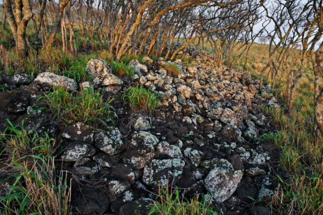 Wahine Pilau heiau, Puu Maneoneo