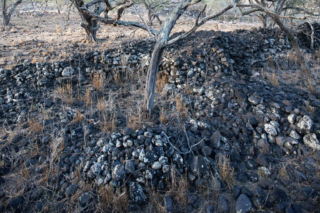 Unnamed heiau, Nuu