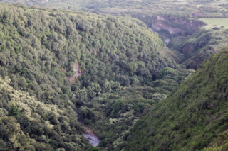 Manawainui Valley