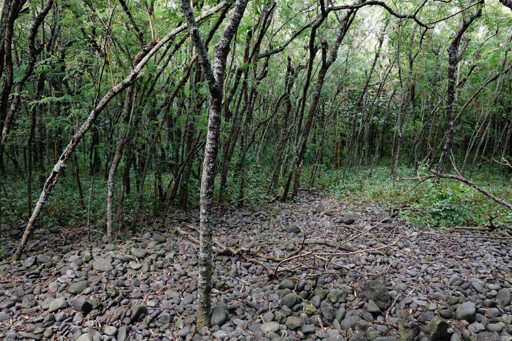 Keakalauae (Popoiwi) Heiau