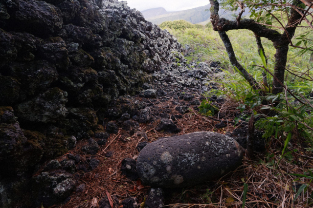 Puhilele heiau