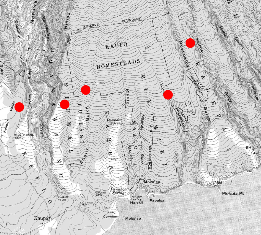 Location of koa trees from land grants