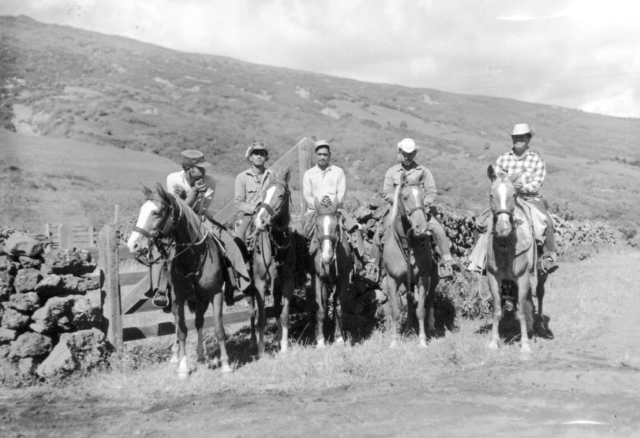 Kaupo cowboys across from Kaupo School. From left: (1) unidentified (possibly Charles "Chunga" Kahaleauki Jr.), (2) unidentified, (3) Aloysius Poouahi, (4) Francis “Tito” Marciel, (5) Nahale Piimauna. Identifications per Carl "Soot" Bredhoff, former Kaupo Ranch manager.