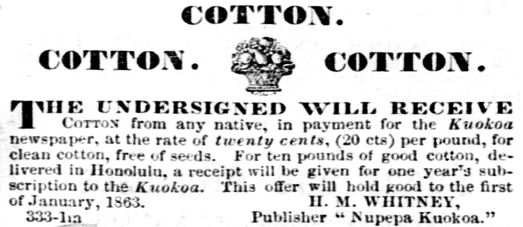 Kuokoa cotton ad